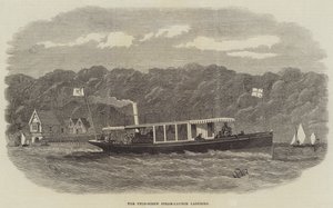 A Twin-Screw Steam-Launch Ladybird
